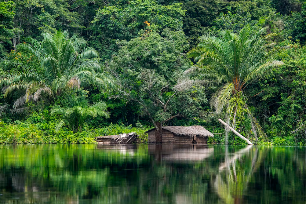 theconversation.com - Chris Bousfield - The 20km ripple effect: how mines can trigger distant deforestation in Africa