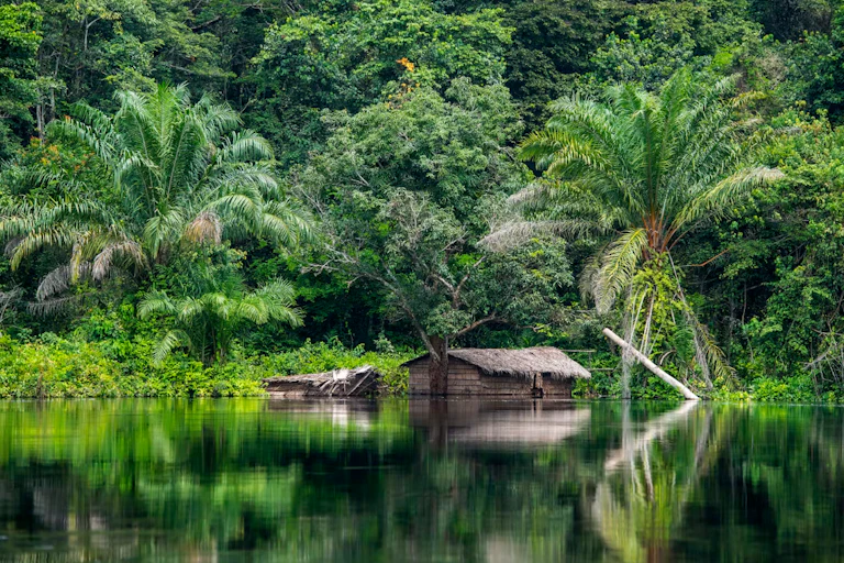 A small building made of wood and grass at the edge of a water body, with dense forest and jungle in the background