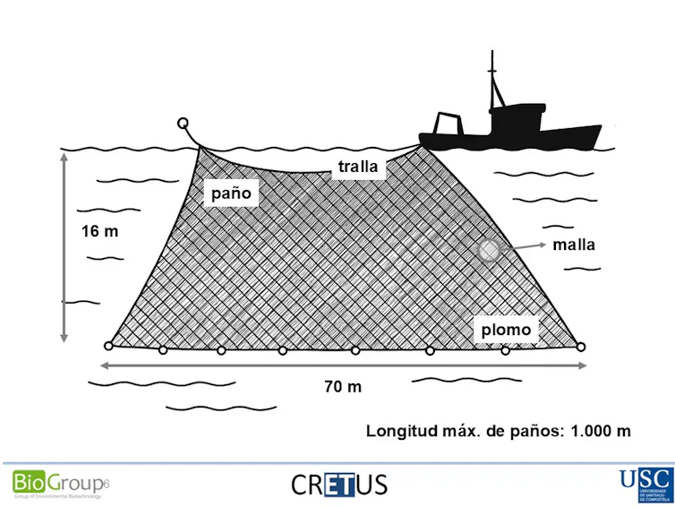 Esquema que muestra un barco al que está unido una red que cae hasta el fondo del mar