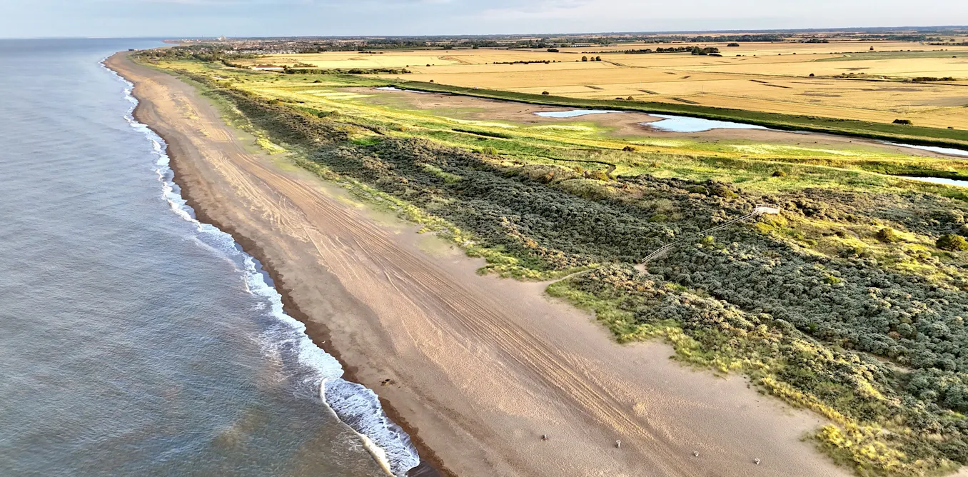 EduWireDaily — Saltwater flooding could radically change which crops are worth growing
