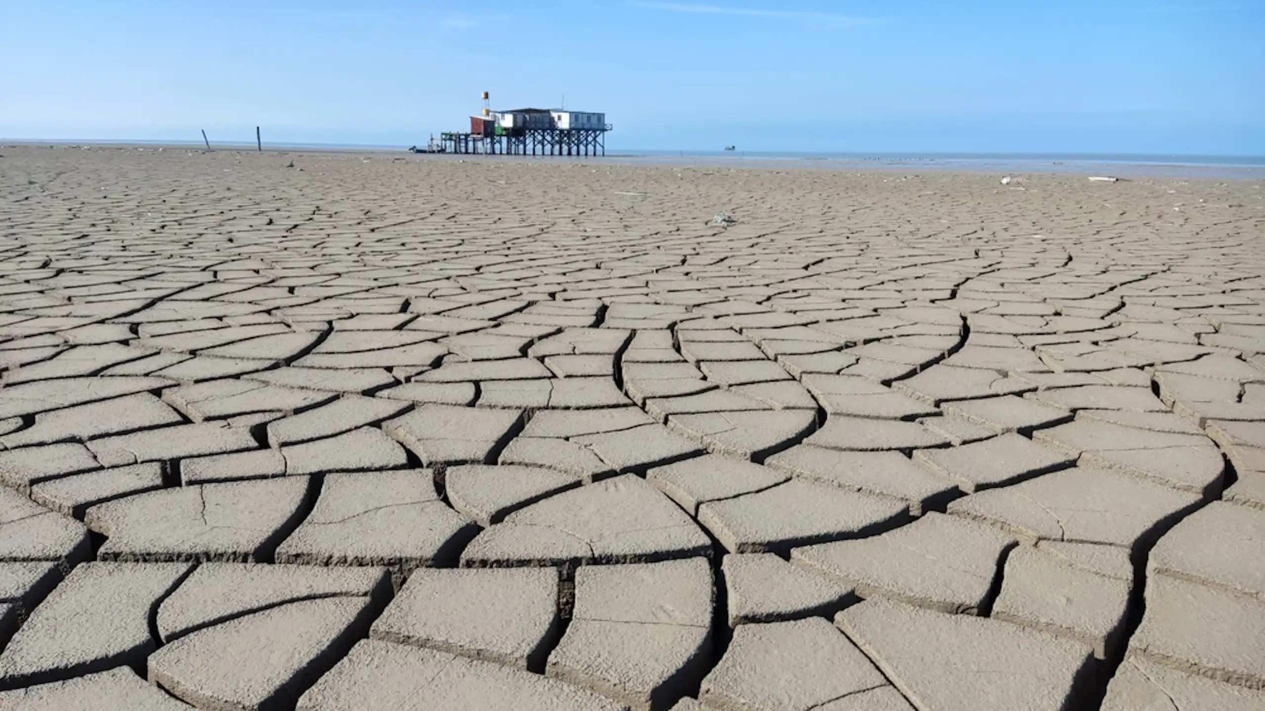 A dried out area of the Caspian Sea.