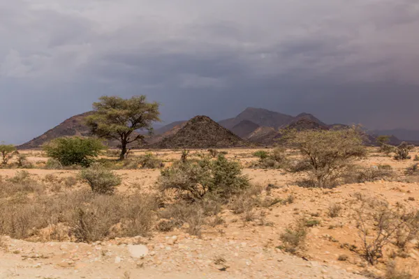 dry landscape, AFRICAN plain
