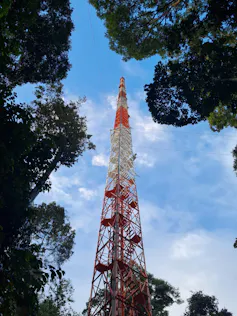 Foto mostra um torre alta entre árvores
