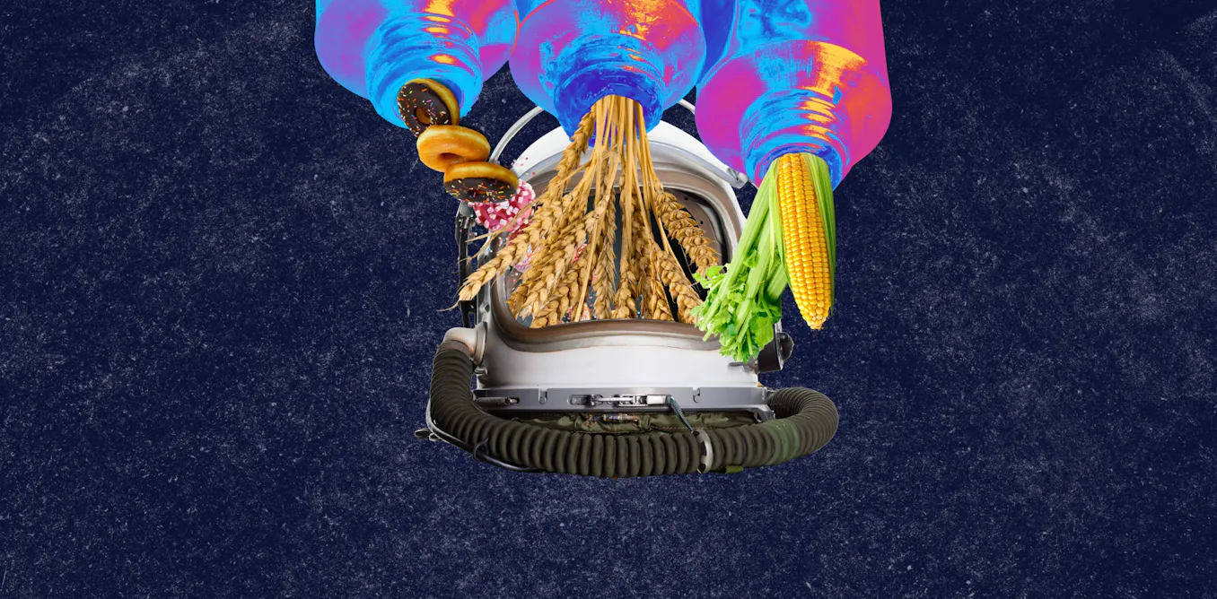 From pureed meals to fresh greens: how space food is advancing to keep astronauts healthy From pureed meals to fresh greens: how space food is advancing to keep astronauts healthy