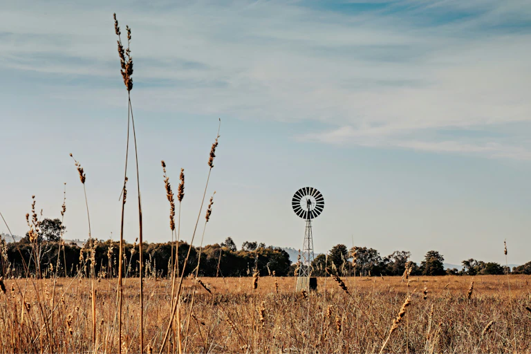 A windmill surrounded by grassland at a rural Australian property