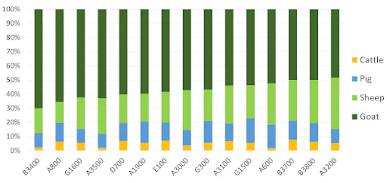 Proportion des différentes espèces d’animaux domestiques découvertes dans les zones de fouille d’Azoria, montrant des répartitions très similaires