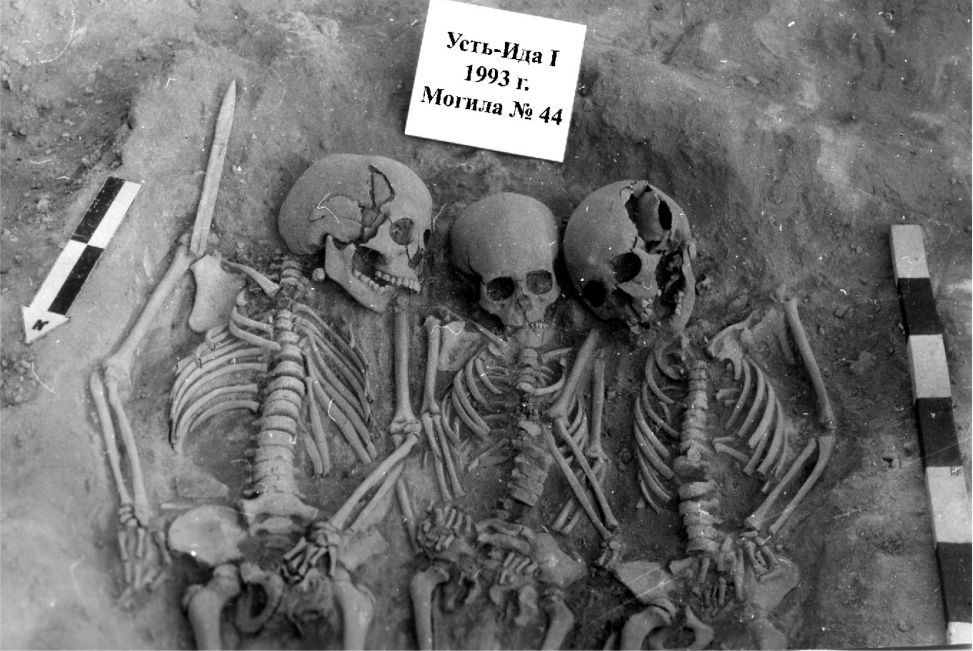 Prehistoric plague could have caused population collapse in stone age Europe