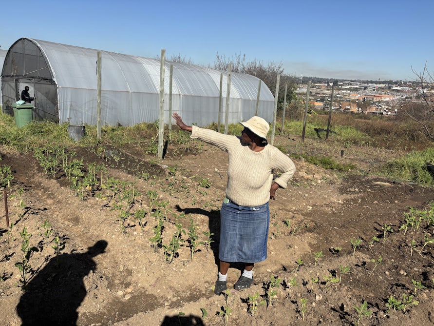 theconversation.com - Blessings Masuku - Urban farming helps Johannesburg's poorest households survive - now it needs bigger investment