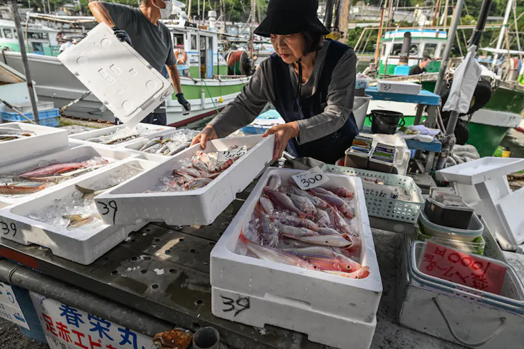 La Encuesta Mundial de Pesca demuestra el valor de los datos ambientales detallados, que la administración Trump está tratando de limitar 3 file 20260622 71 dw6wge.jpg?ixlib=rb 4.1