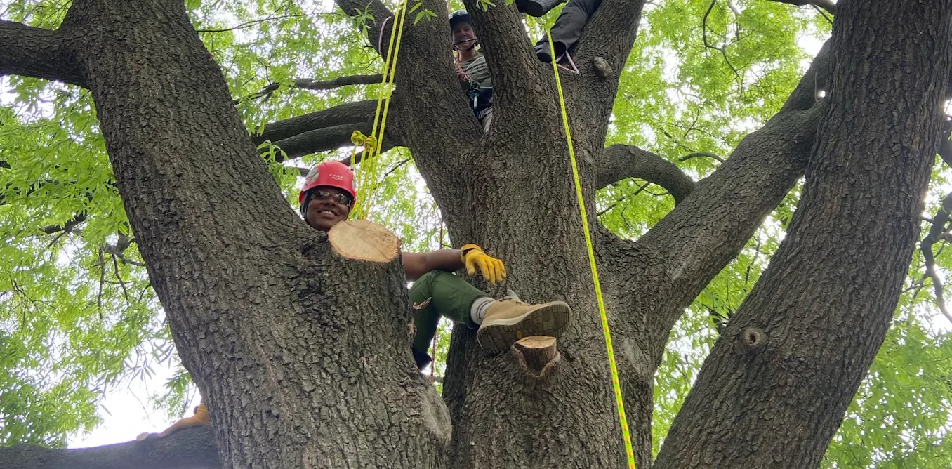 Students branch out and climb trees to learn up close how to care for them and why they help cities flourish Students branch out and climb trees to learn up close how to care for them and why they help cities flourish