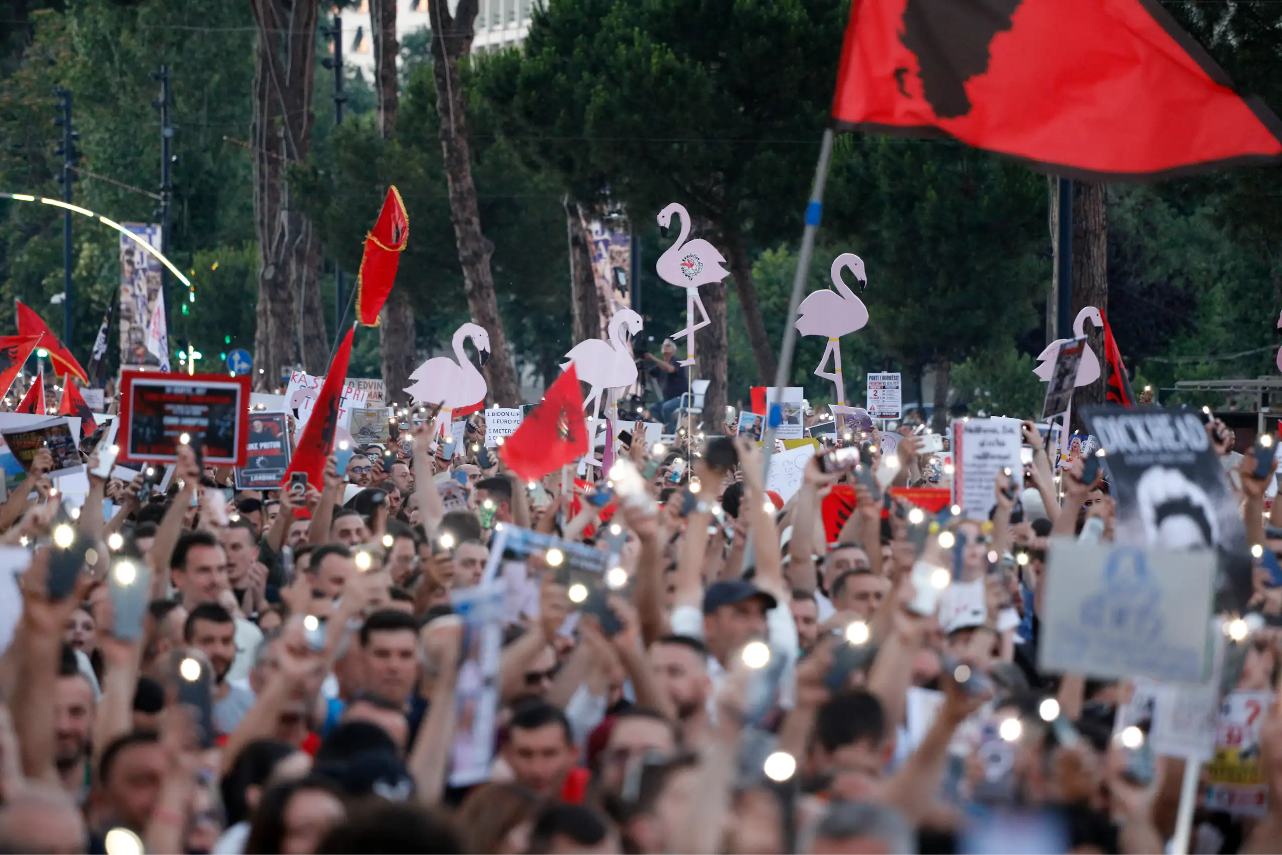 A crowd of protestors in Tirana waving Albanian flags and placards depicting flamingo's.