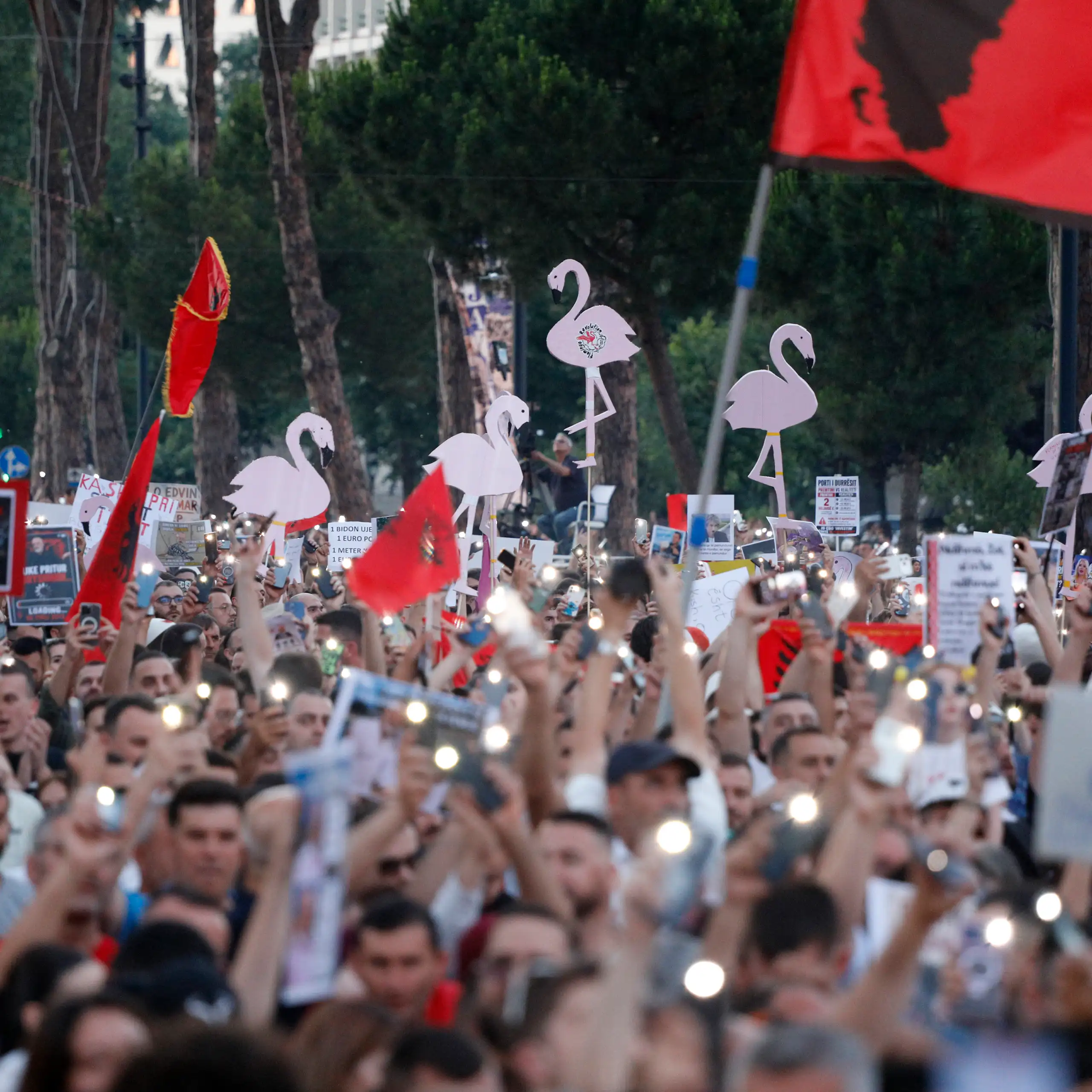 A crowd of protestors in Tirana waving Albanian flags and placards depicting flamingo's.