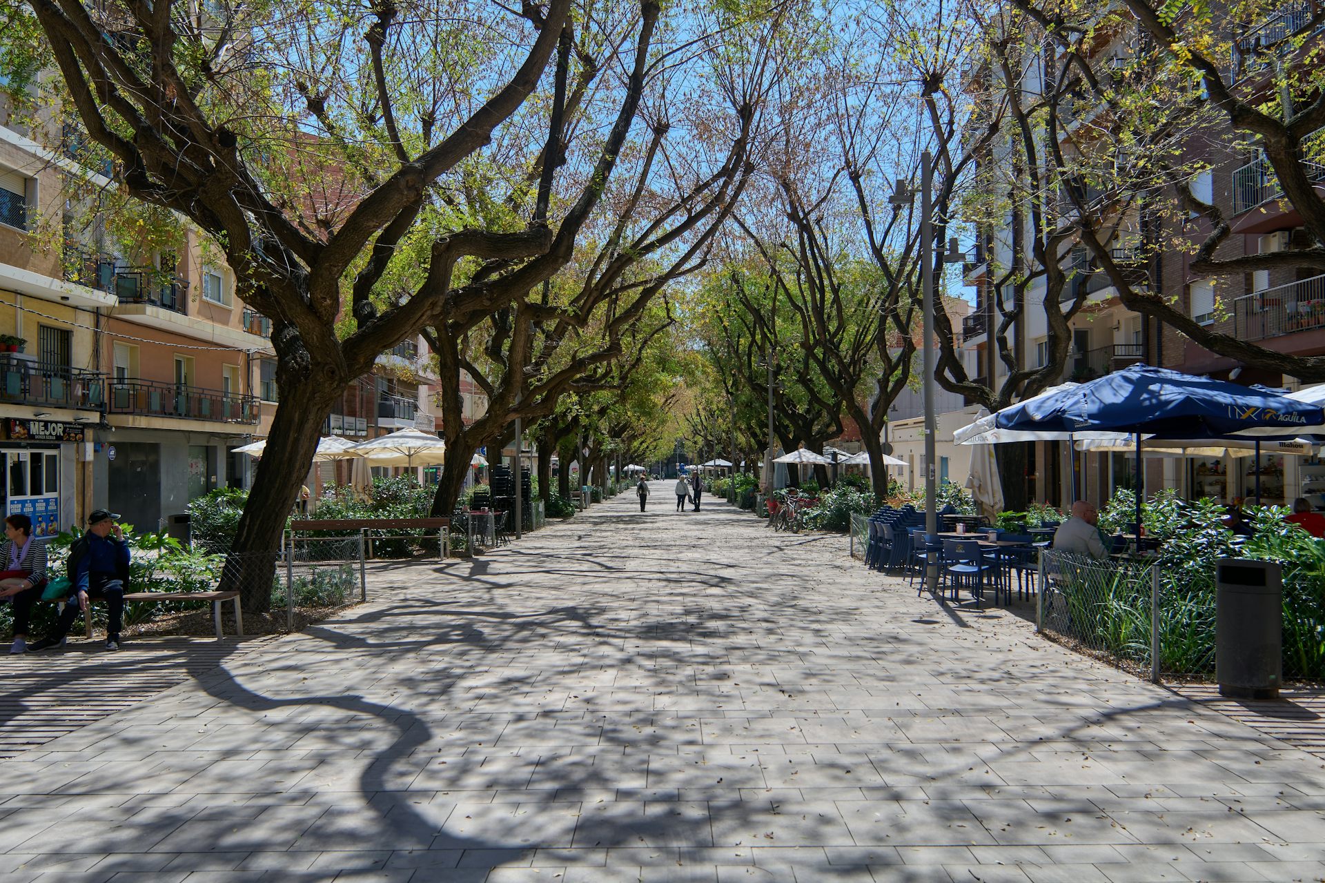 Un carrer peatonal amb arbres als costats.