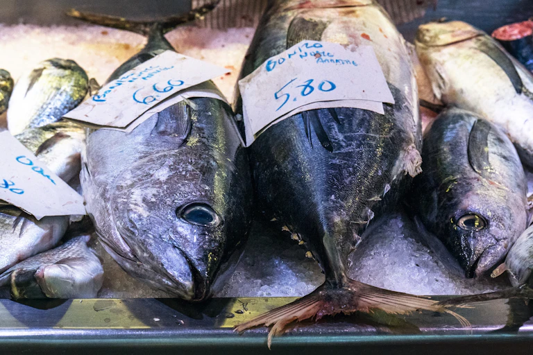 Pescados con un papel que indica su precio