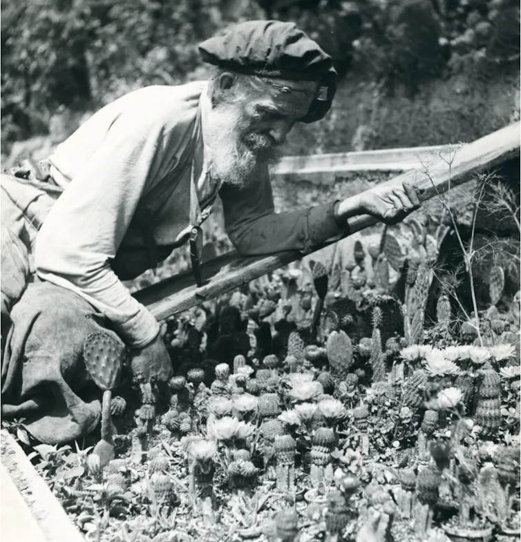 The odd historical past of Czech cactus hunters – and why some see themselves as Robin Hood figures 2 Fric with cactuses