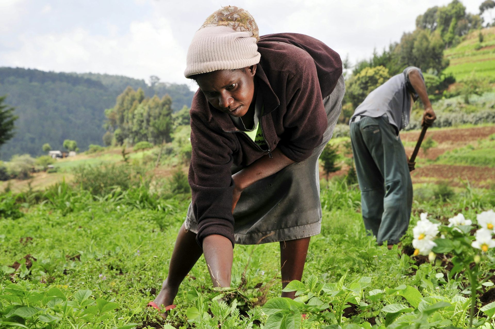 Kenyans living in towns are farmers too: what this means for rural landscapes
