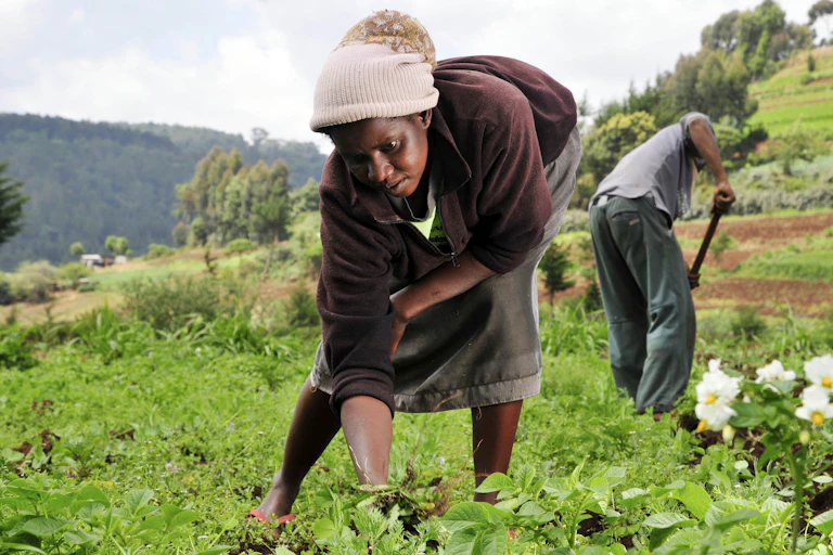 Man and woman working in a field