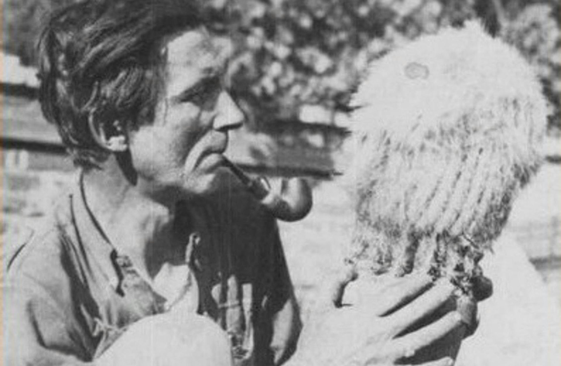 The strange history of Czech cactus hunters – and why some see themselves as Robin Hood figures