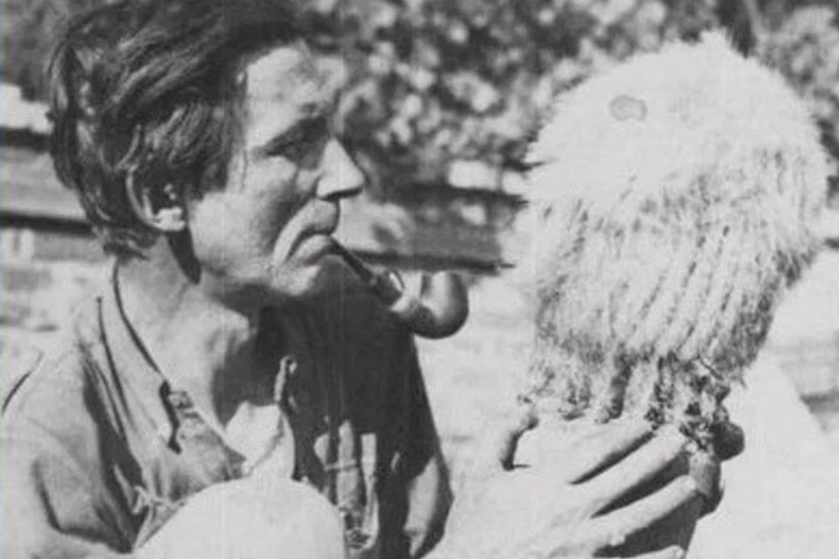 Man looks at cactus while puffing pipe