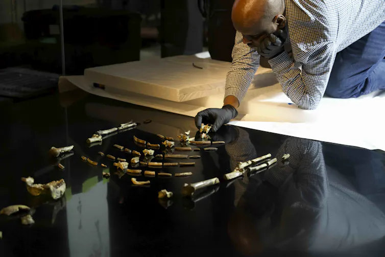Sahleselassie Melaku installing Lucy's skeleton in Abu Dhabi