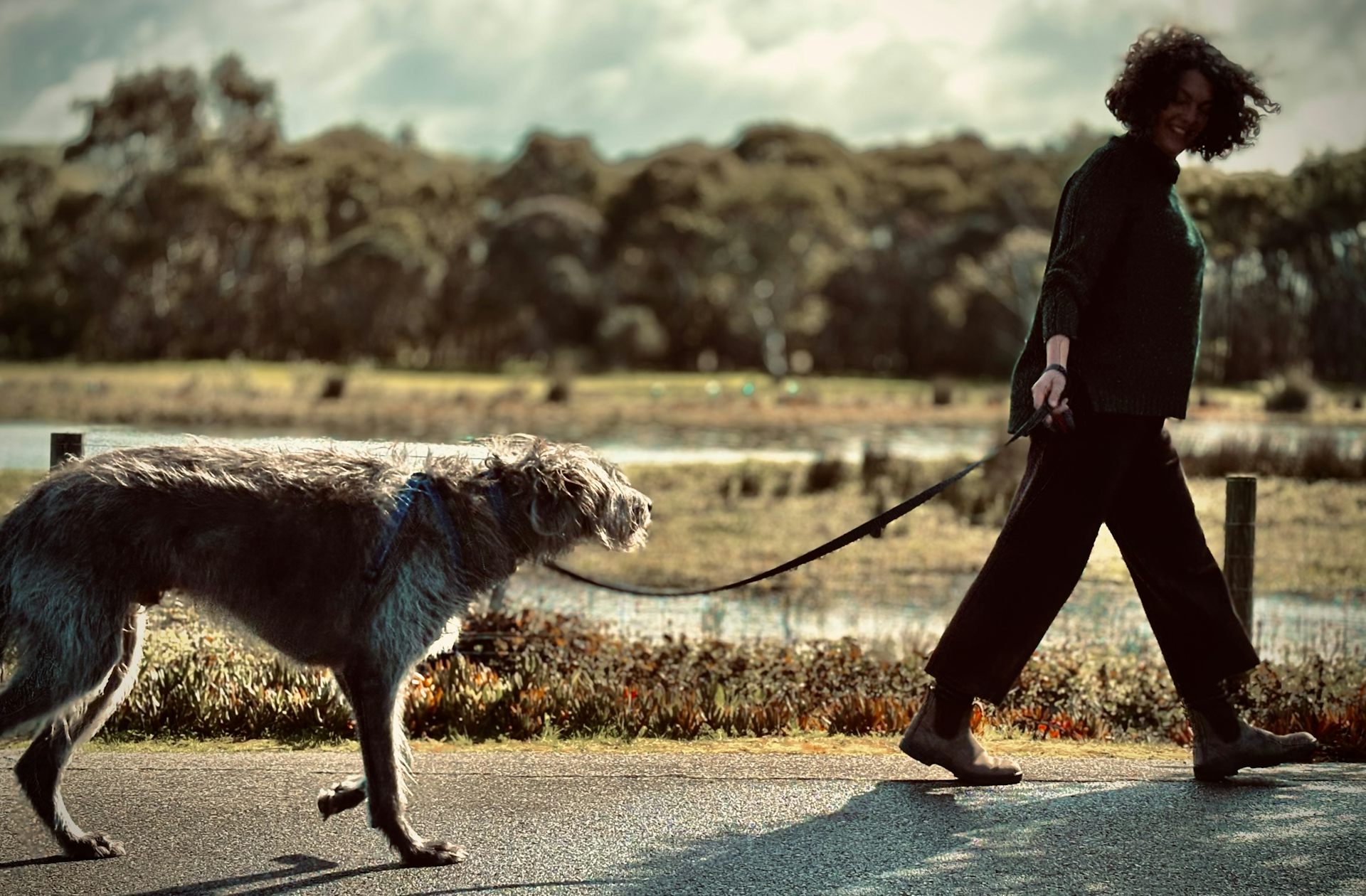 a woman walking a dog, trees and a field behind them