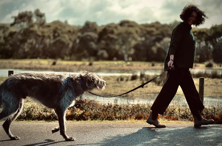 a woman walking a dog, trees and a field behind them