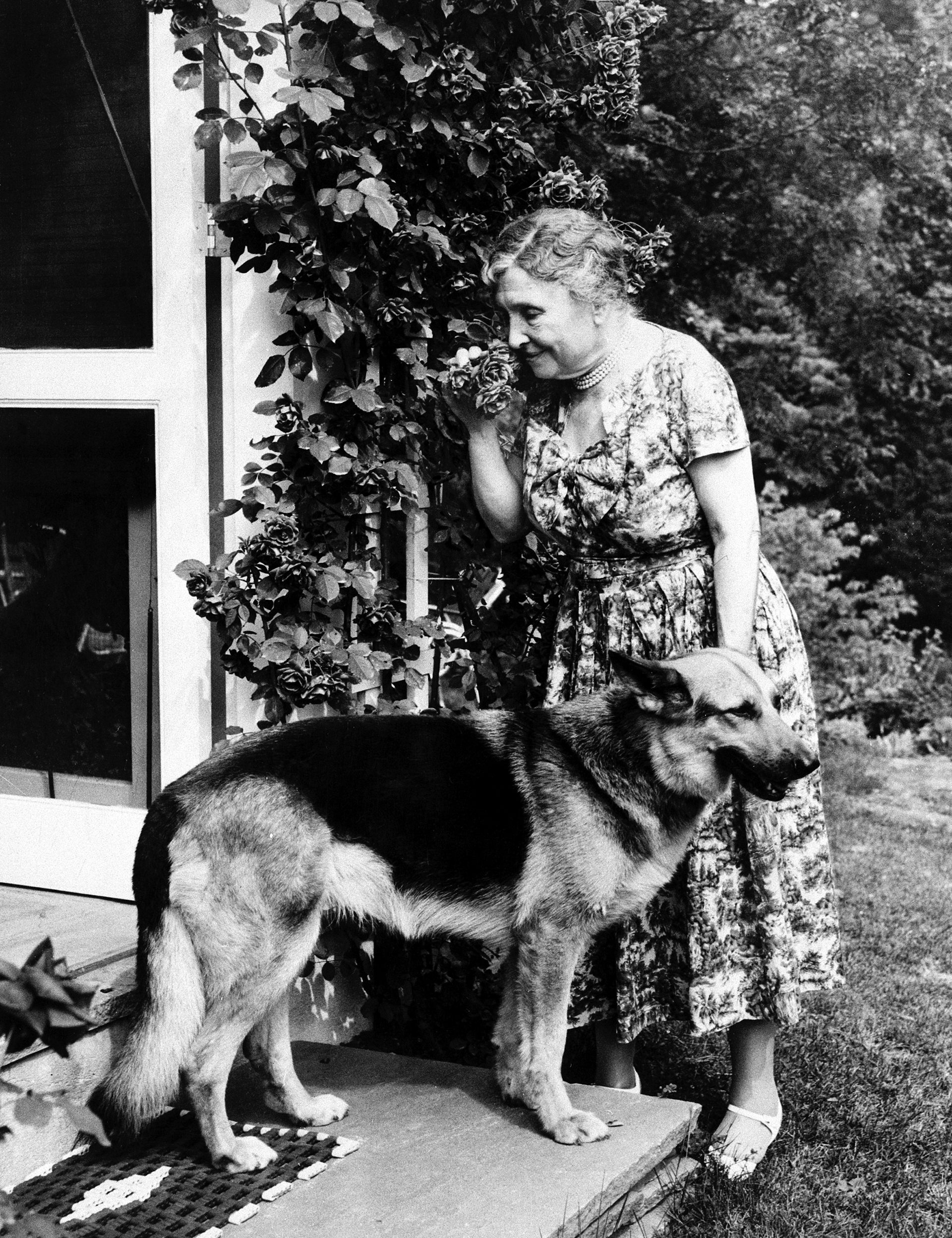 An older woman with a German Shepherd dog, smelling roses