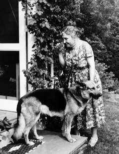 An older woman with a German Shepherd dog, smelling roses