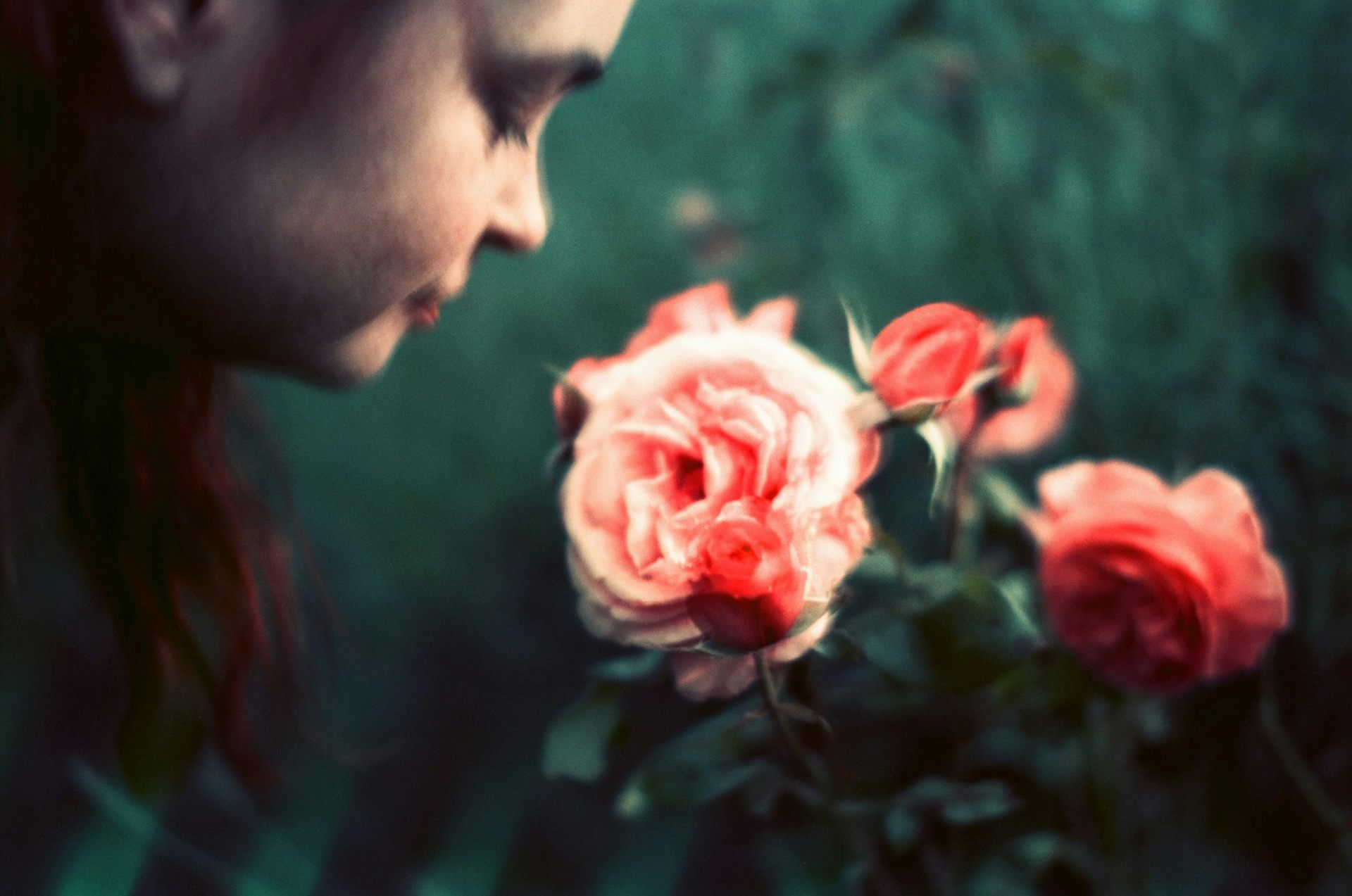 Friday essay: I can’t smell – and it nearly killed me