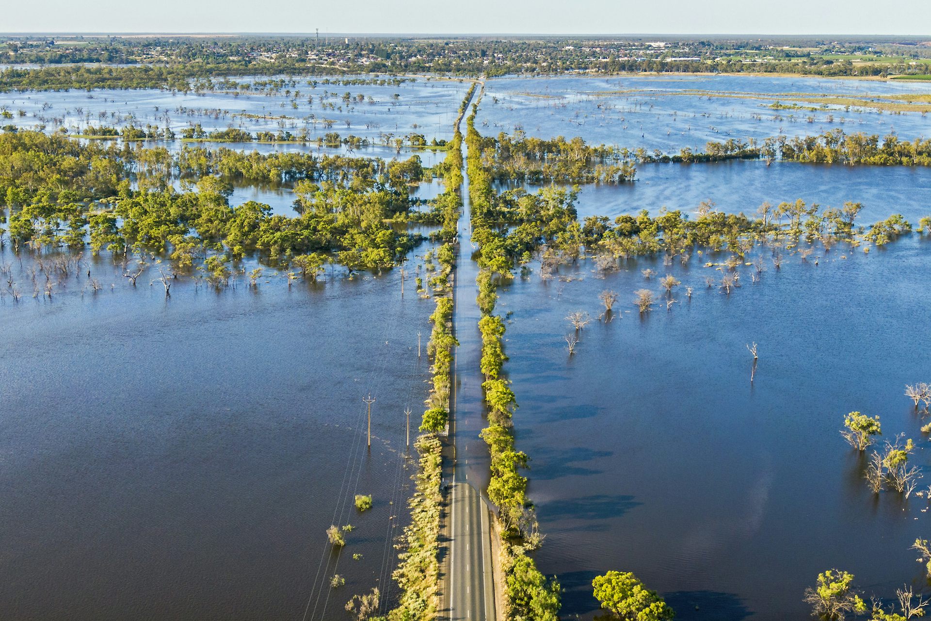 Murray river in flood, aerial view of tree-lined road underwater.