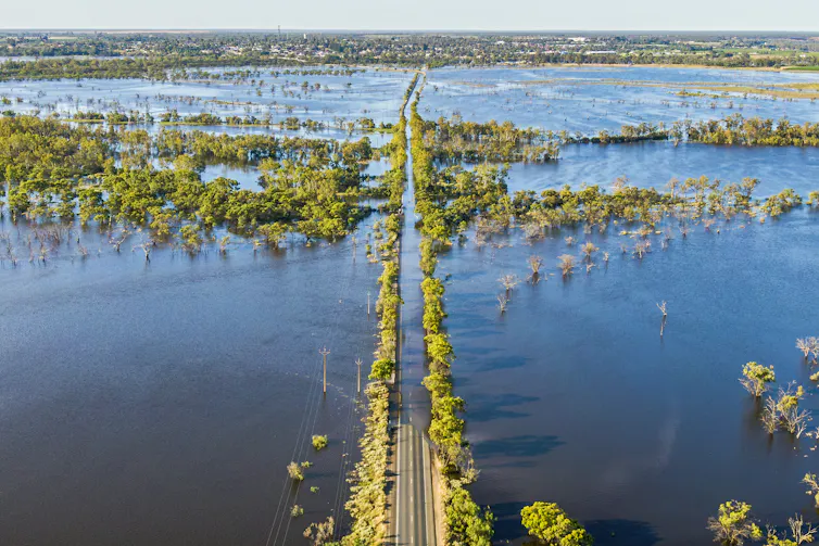 Murray river in flood, aerial view of tree-lined road underwater.