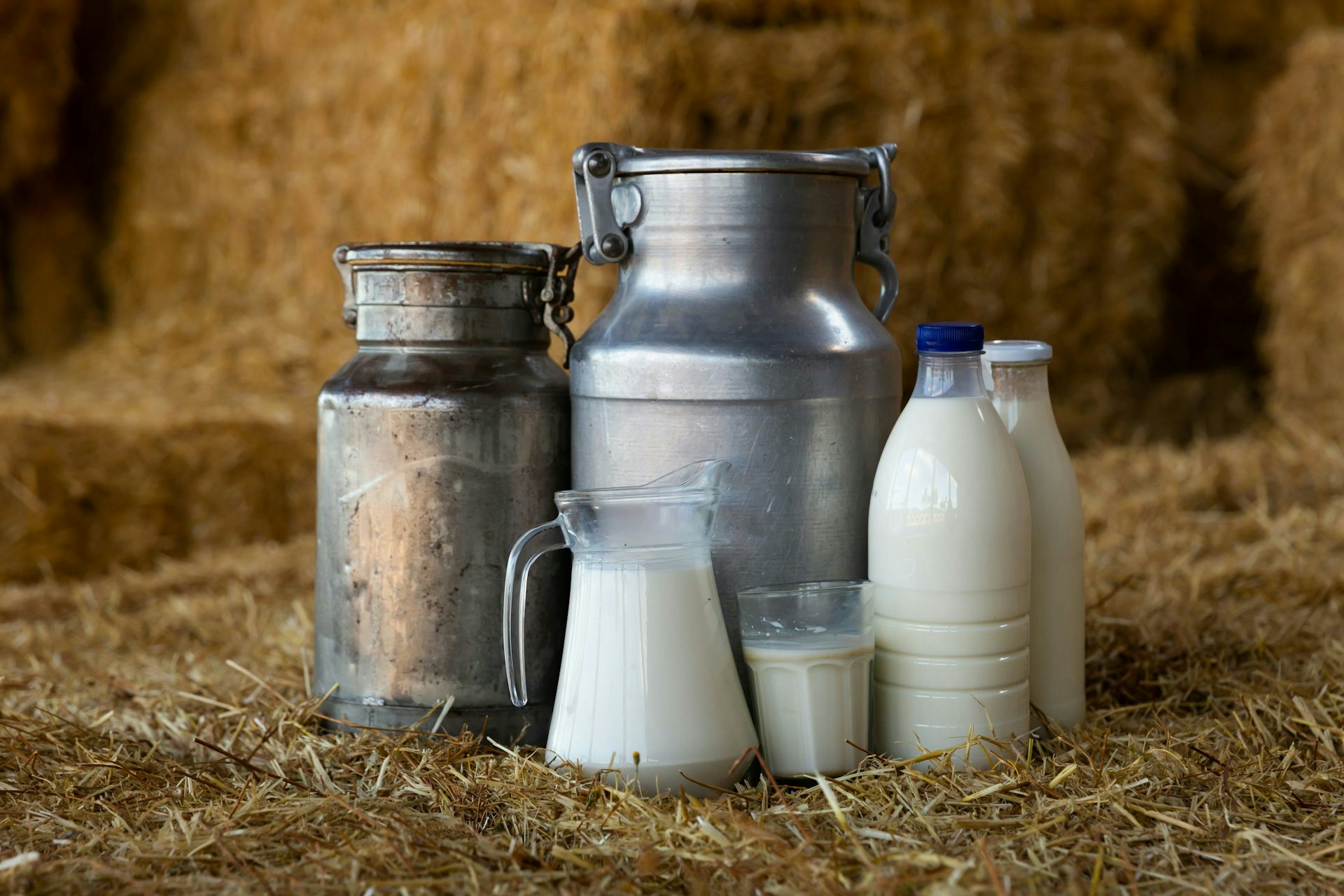 Des cruches et des bouteilles remplies de lait sur du foin