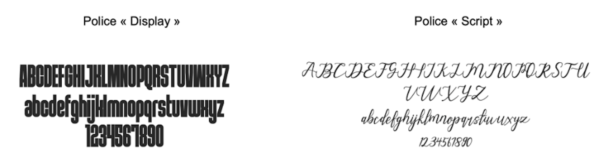 Display and script fonts