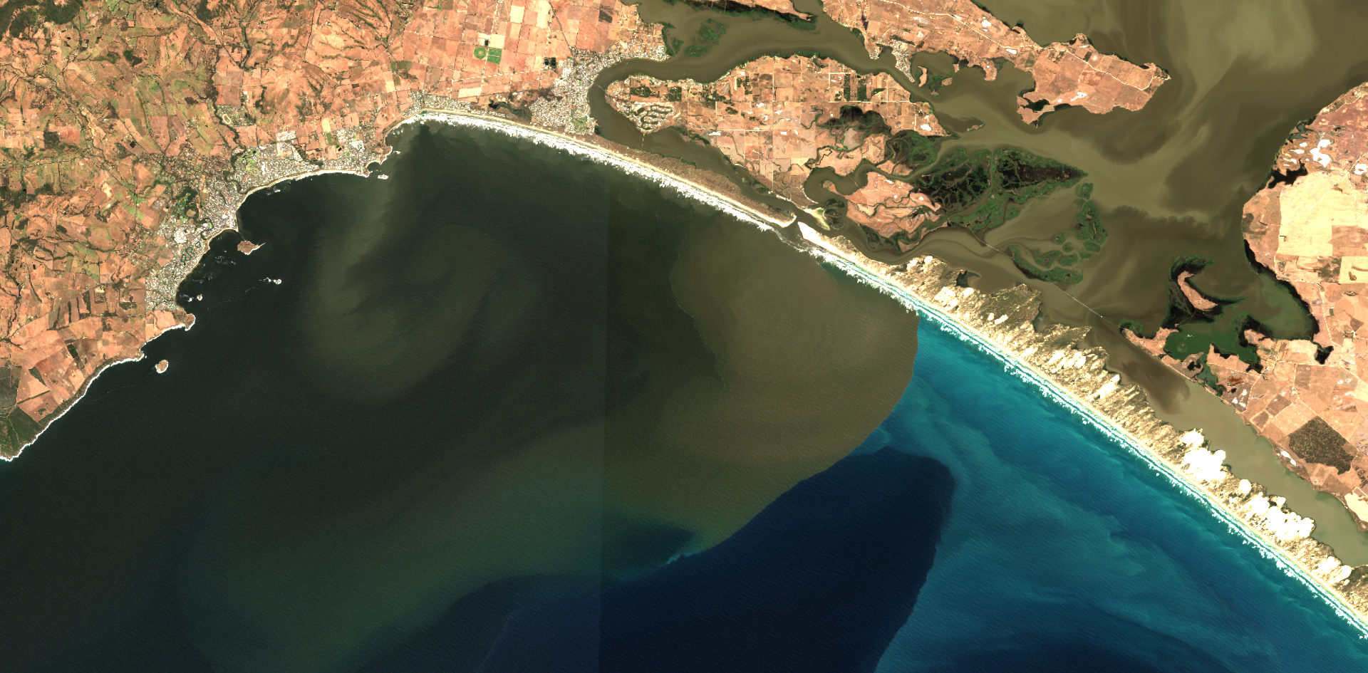 Flooding rains, ocean gains: how a huge Murray flood gave the sea a feast