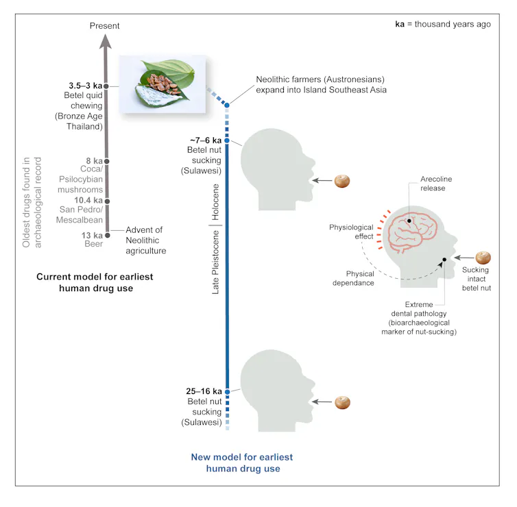 Infographic showing timelines of drug use.