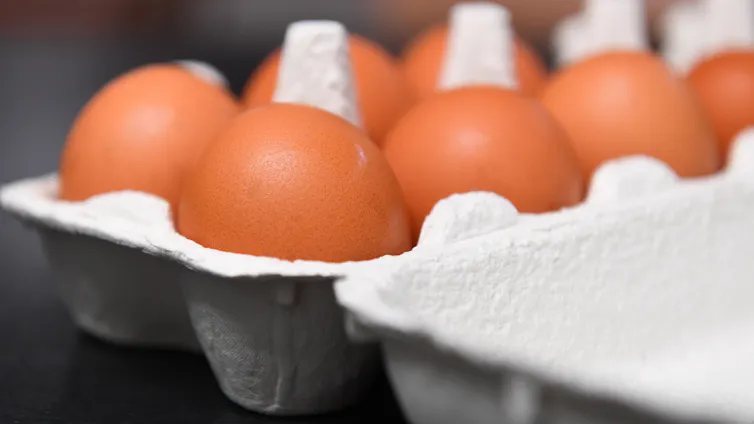 A view of an open carton of eggs