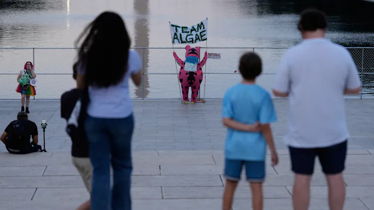 A protest takes place at the Lincoln Memorial Reflecting Pool