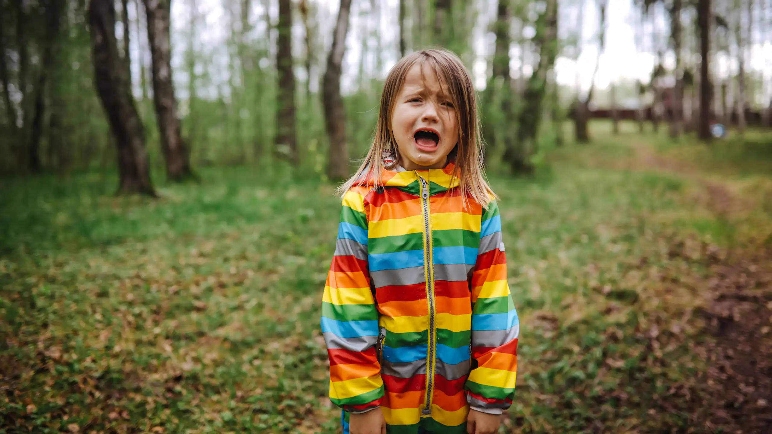 A small child in a coloured raincoat stands in a forest clearing and yells.