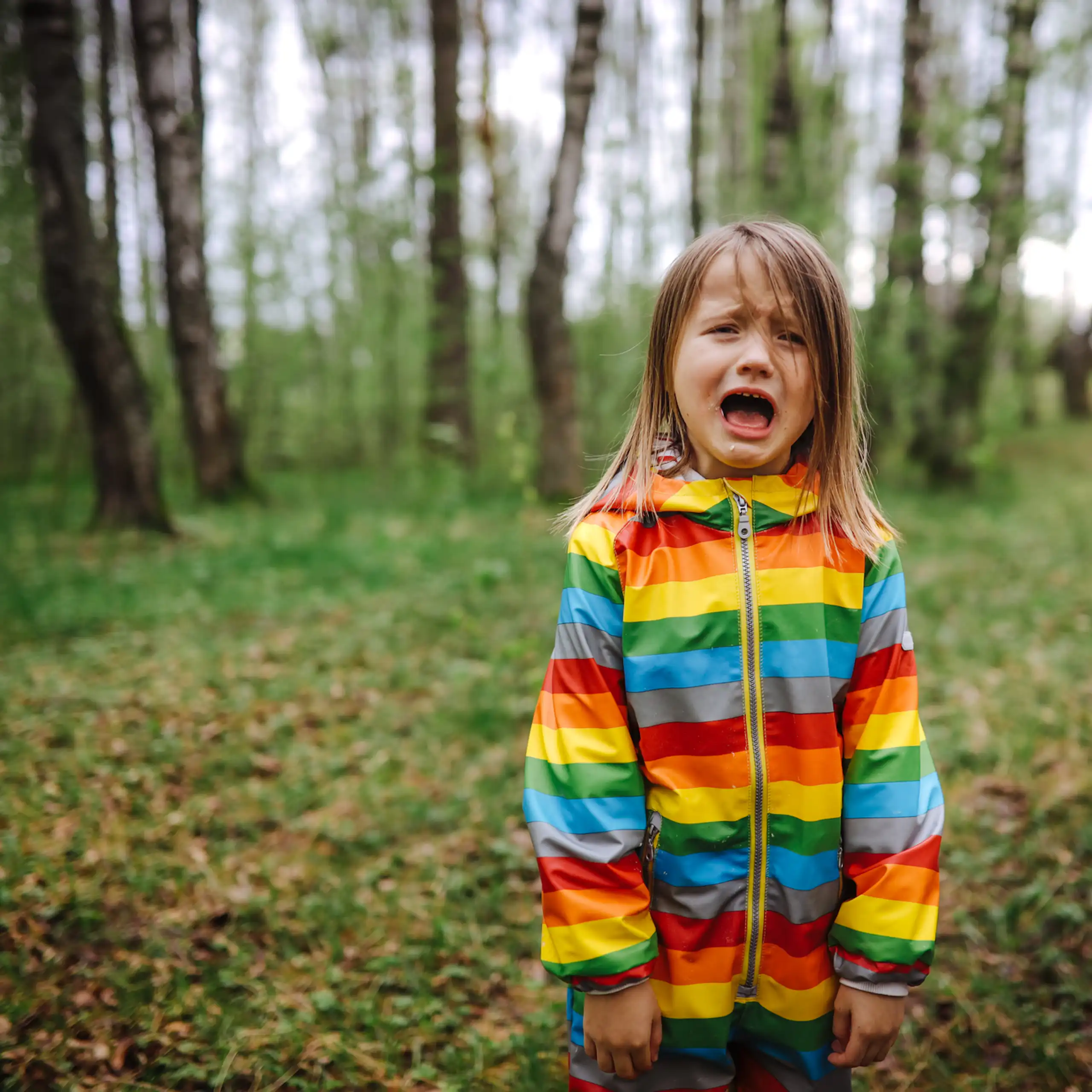 A small child in a coloured raincoat stands in a forest clearing and yells.