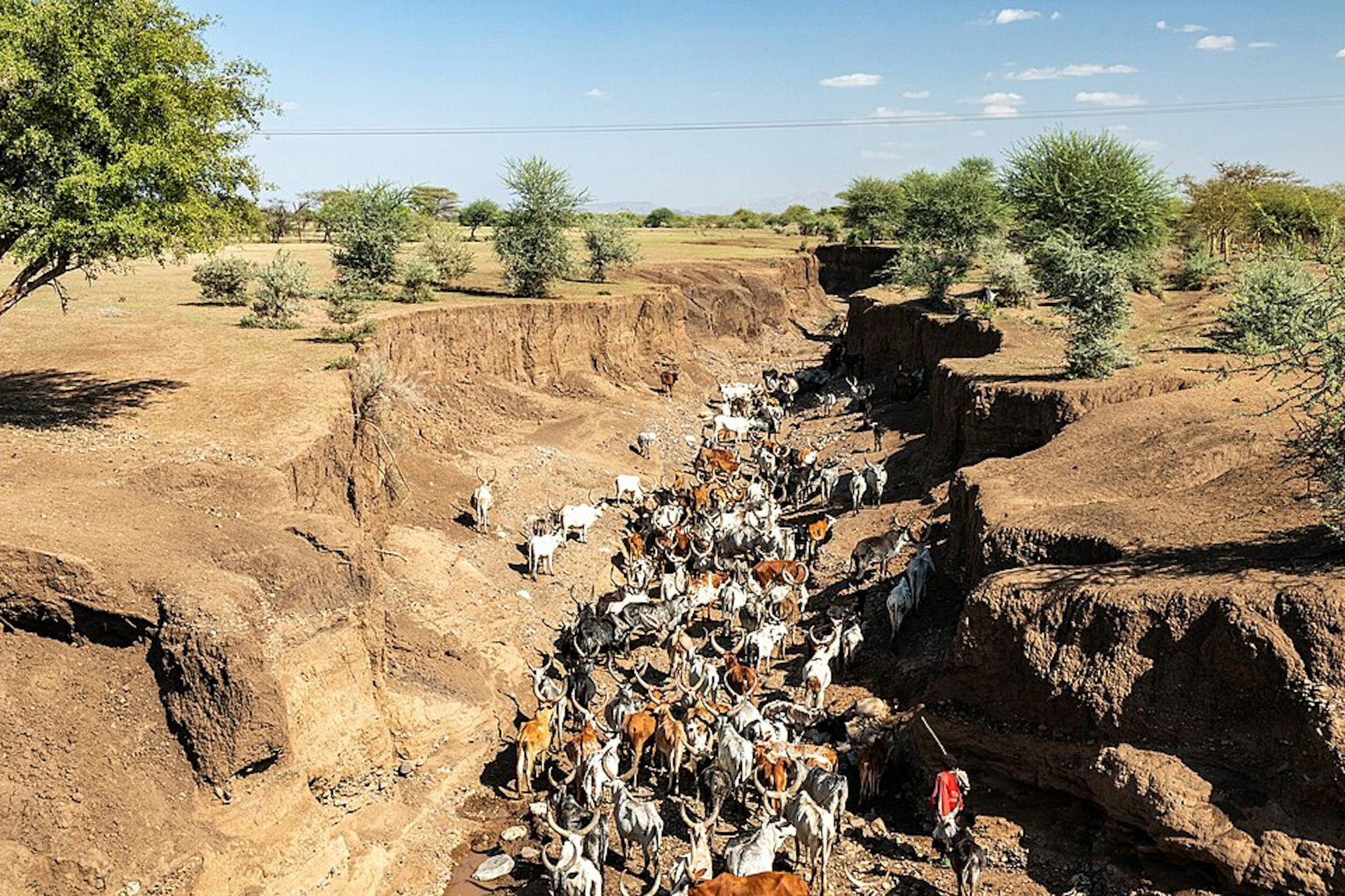 Les savoirs des communautés rurales d’Afrique de l’Est, ressource négligée pour l’adaptation climatique