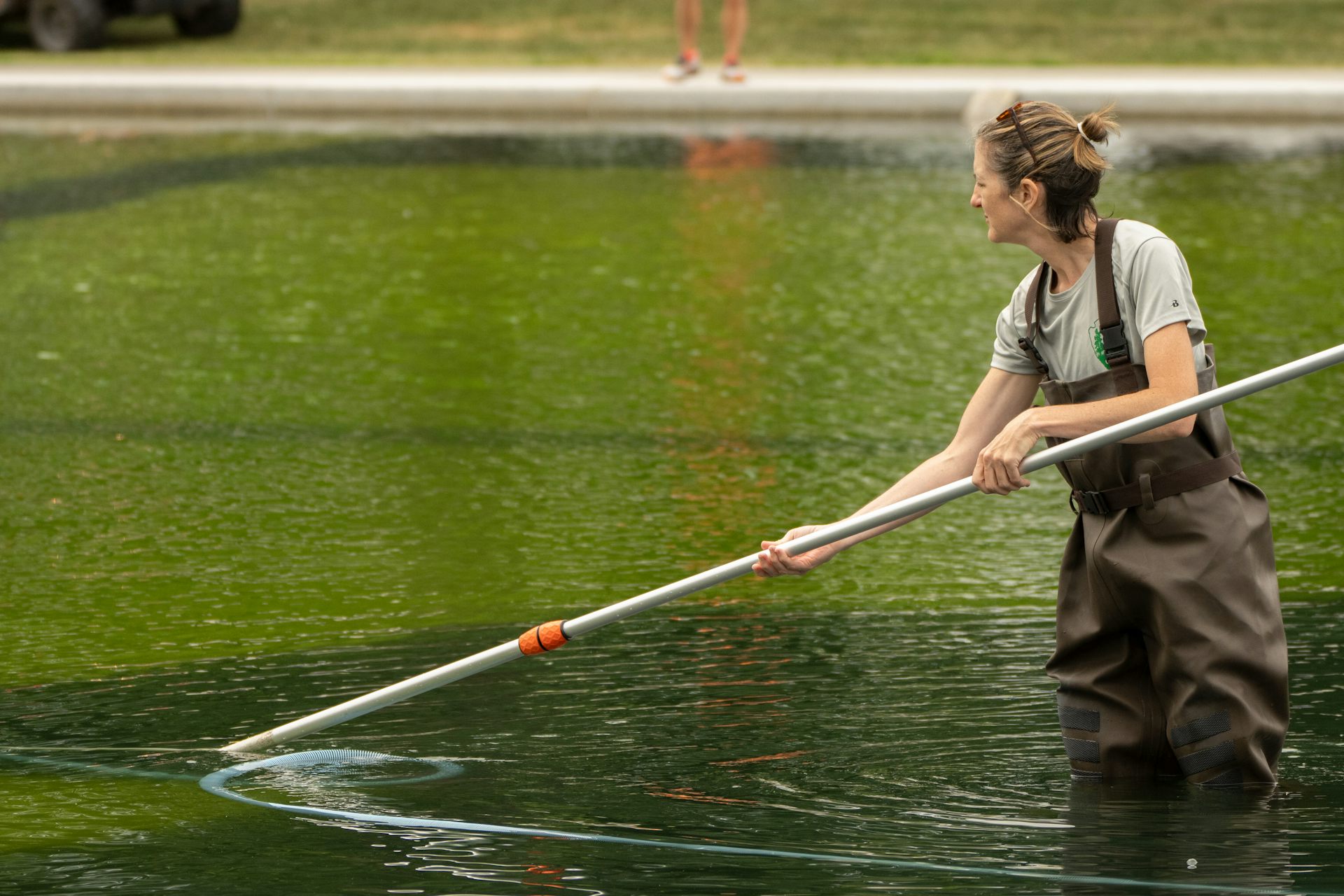 Una mujer nada en una piscina verde y turbia, sosteniendo un palo con el que limpia el agua.