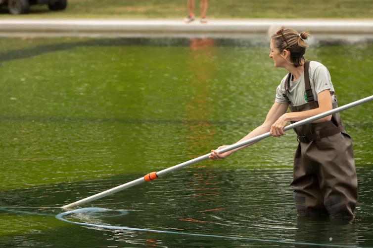 A woman wades in a murky green pool holding a pole that she is using to clean the water.