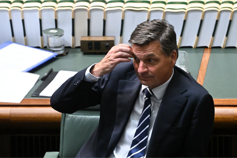 Angus Taylor scratching his forehead in parliament
