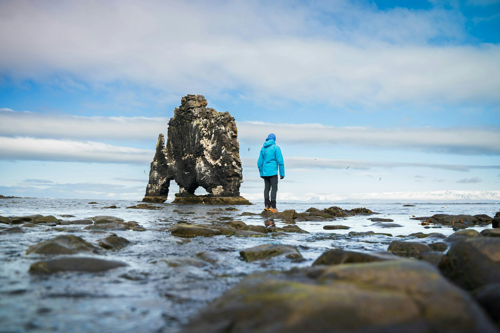 EduWireDaily — This strange novel riffs on The Tempest, swapping its teen girl for a menopausal marine biologist