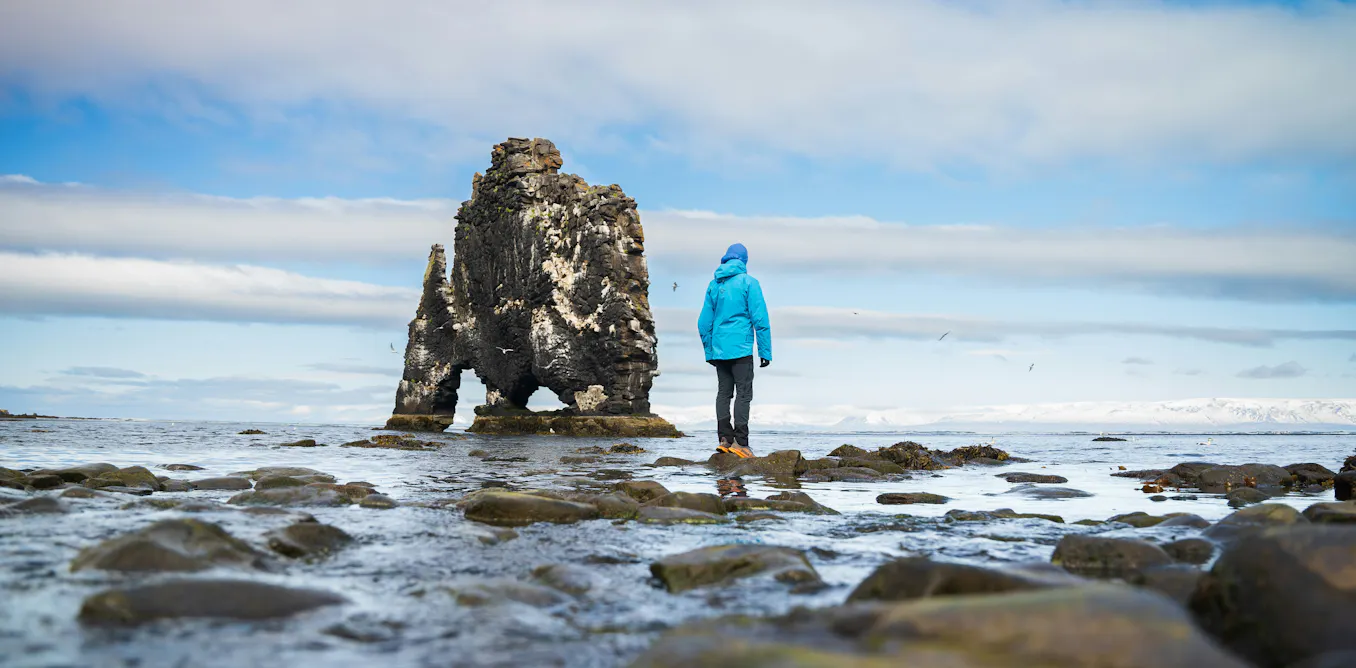 EduWireDaily — This strange novel riffs on The Tempest, swapping its teen girl for a menopausal marine biologist