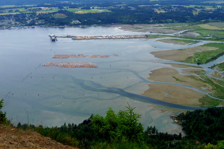 a river delta seen from a nearby hillside