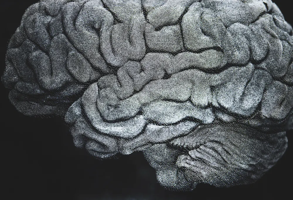 Consciousness: how ‘working memory’ may mysteriously give rise to it