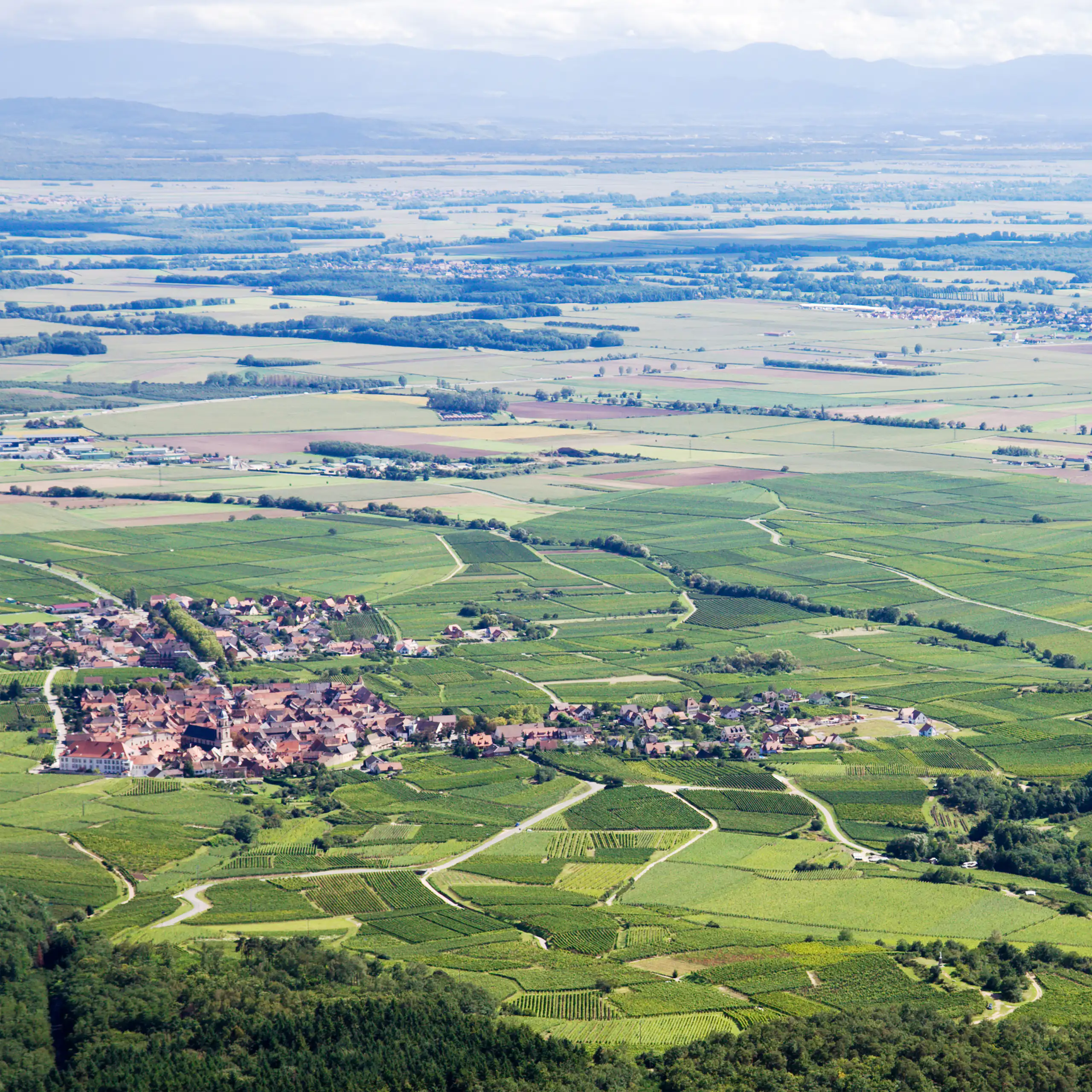 Vue aérienne du Fossé rhénan en Alsace.