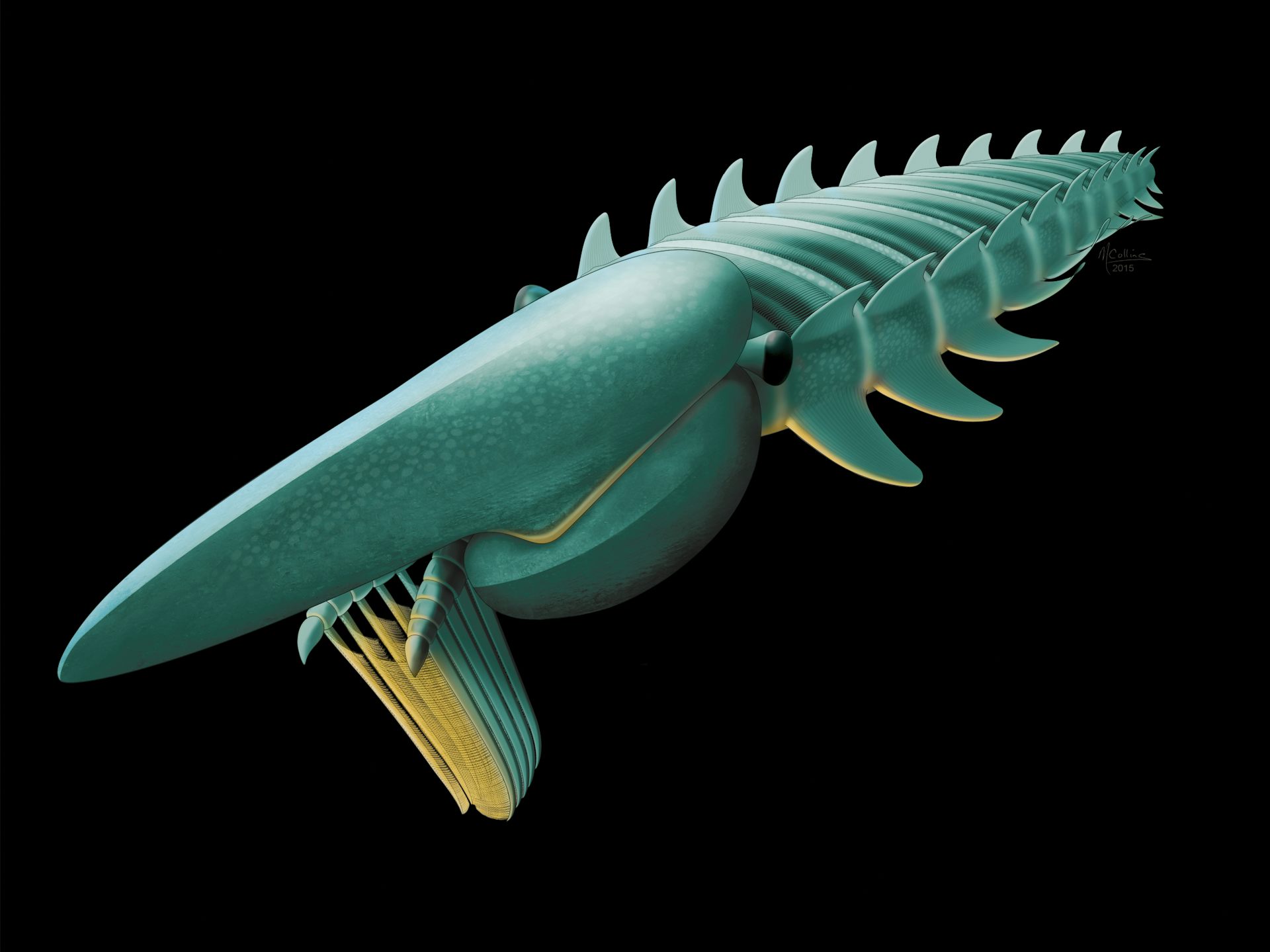 Fossils of huge planktoneating sea creature shine light on early arthropod evolution