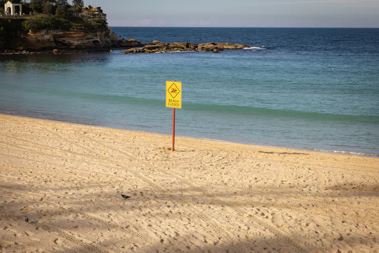 Shark-spotting drones are about reassurance – no longer complete coverage Shark-spotting drones are about reassurance – no longer complete coverage